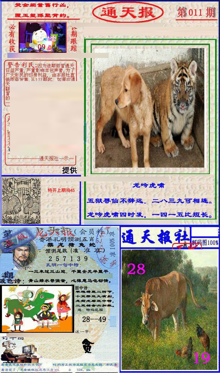 011期实力通天报[图]
